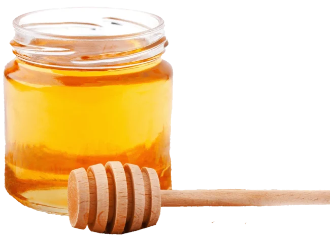 honing bijen huren e1680200454750