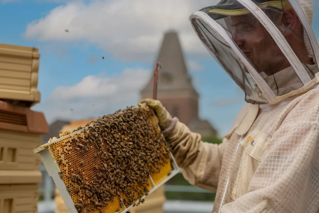 bedrijfsimker bijenhuren.nl